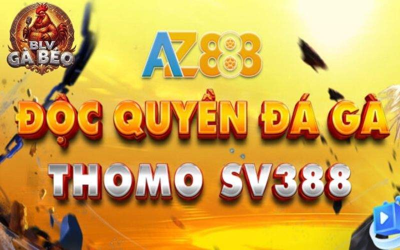 AZ888 - Trang đá gà trực tiếp cựa sắt Thomo hàng đầu tại Việt Nam