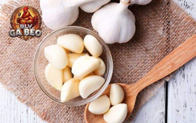 Cách sử dụng tỏi và rượu tỏi cho gà Cách sử dụng tỏi và rượu tỏi cho gà
