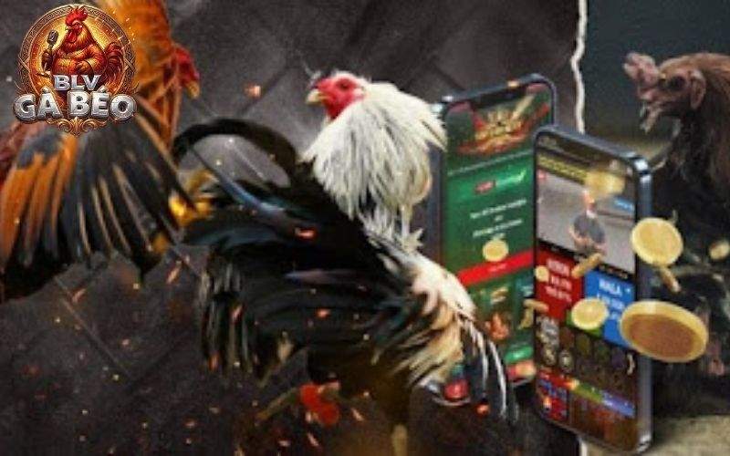 Có bình luận viên đá gà chuyên nghiệp