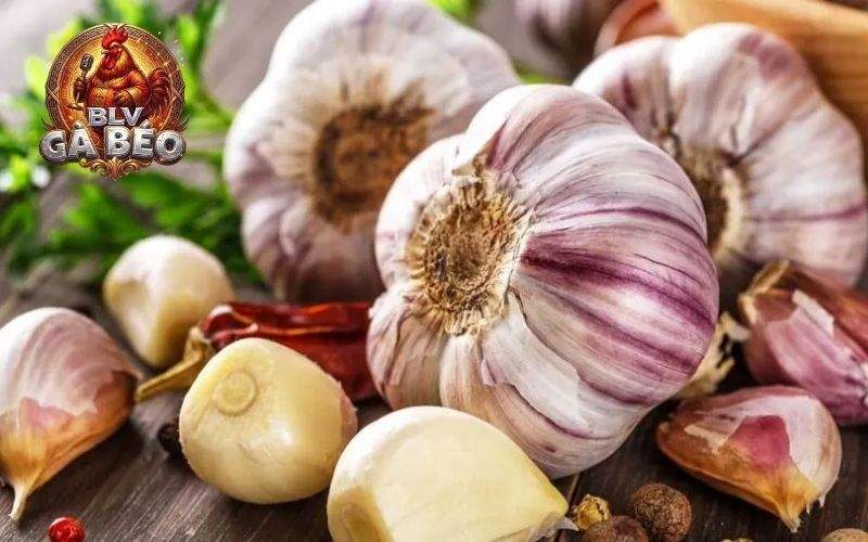 Có nhiều tác dụng khi sử dụng tỏi cho gà ăn Có nhiều tác dụng khi sử dụng tỏi cho gà ăn