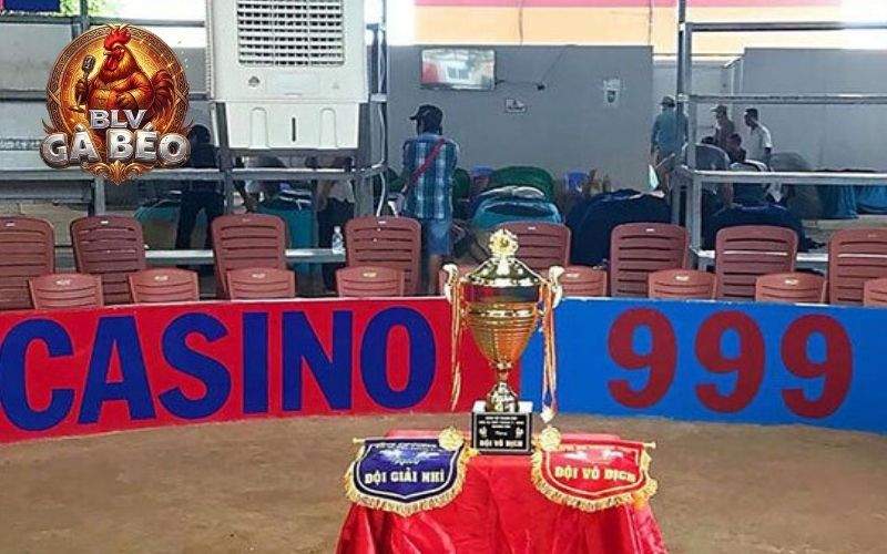 Gồm có 3 trường gà là CPC1, CPC2, CPC3