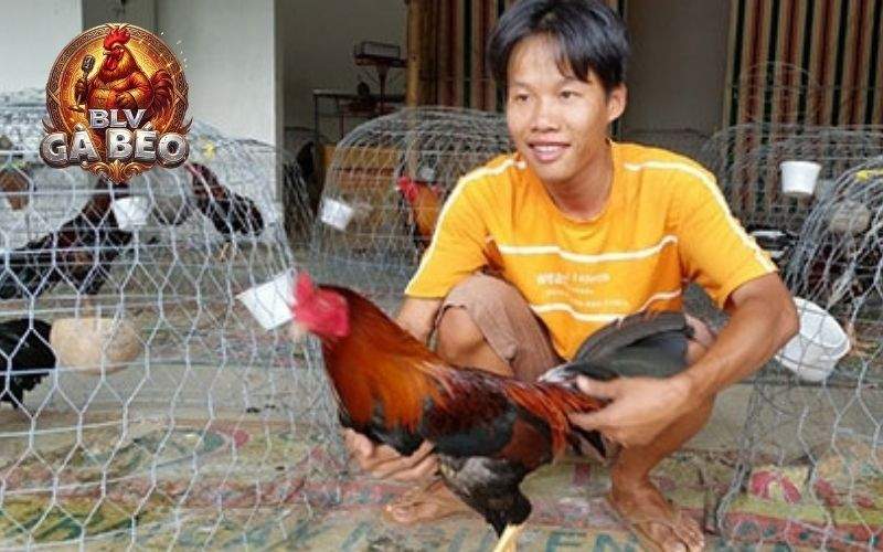 Không nên lạm dụng vào nghệ cho gà