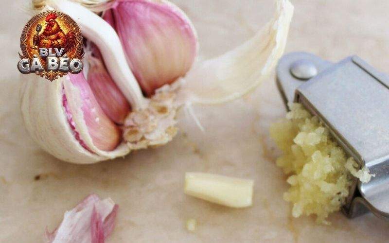 Thời gian gà có thể sử dụng tỏi Thời gian gà có thể sử dụng tỏi