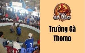 Trường Gà Thomo