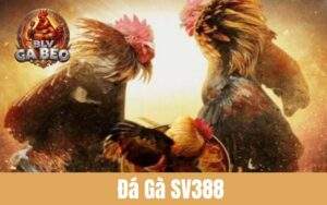 Các Ưu Điểm Về Đá Gà SV388