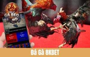Các Ưu Điểm Về Đá Gà 8KBET
