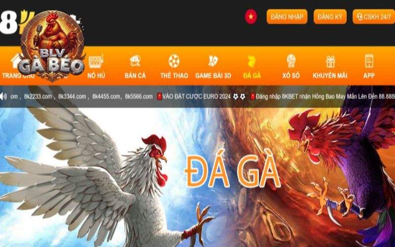 Giao diện đặt cược được thiết kế trực quan, thao tác đặt cược dễ dàng